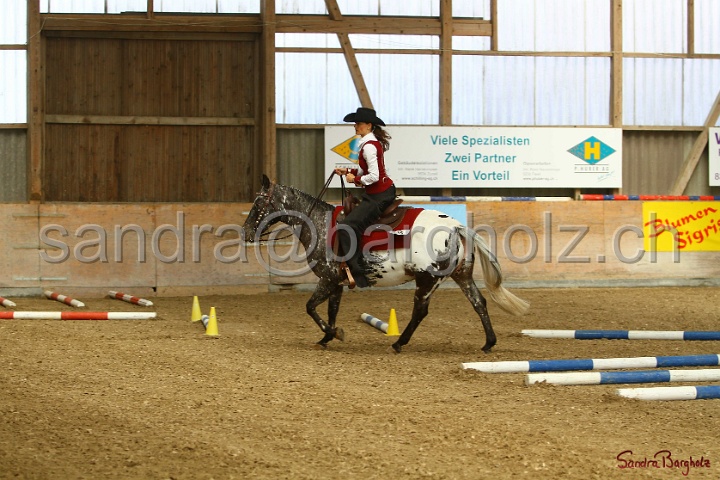 26-ApHC GT_009.jpg